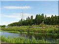 Claypits Nature Reserve 