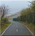 Wales Coast Path and National Cycle Route 5