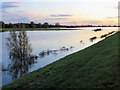 TL4381 : Flooded washes near Mepal - The Ouse Washes by Richard Humphrey