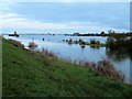 TL4381 : Flooding near Mepal Causeway - The Ouse Washes by Richard Humphrey