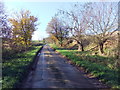 Road in Warren Dale