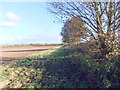 Field path towards Beverley Road