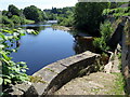 River access below The Sills, Startforth