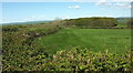 Field and wood near Fire Beacon Cross