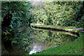 Caldon Canal north-east of Froghall Tunnel in Staffordshire