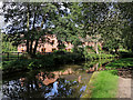 Caldon Canal near Froghall Basin in Staffordshire