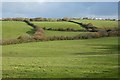 Pasture, Probus