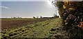 Looking towards Northwood Farm