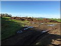 Muck in muddy field