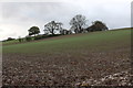 Muddy Field beside the A19, Leake