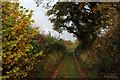 Bridleway heading towards Masty Bank