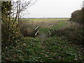 Footbridge on the edge of Fenton