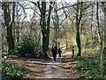 Path into Kenwood Estate