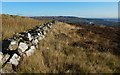 NS3779 : Dry-stone wall on Carman Hill by Lairich Rig