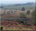 Access bridge under the old Alnwick & Cornhill Railway