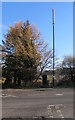 Telecoms mast and cabinet, Tanerdy, Carmarthen