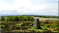 Trig Point at Armshead, Wetley Moor