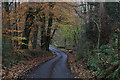 White Lee Lane descending towards Lickhurst Brook