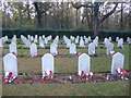 SU9556 : Graves in the Polish section of Brookwood Military Cemetery by Marathon