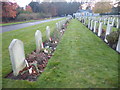 SU9456 : Polish graves at Brookwood Military Cemetery by Marathon