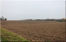 TL0510 : Field by Dodds Lane by David Howard