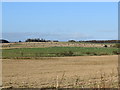 Contrasting Aberdeenshire fields...