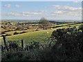 Drumlin landscape south-east of Guiness Road