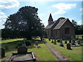 Yew Tree by St. Michael & All Angels Church (Castle Frome)