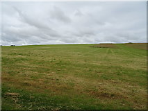 SU1068 : Cut silage field near West Kennett by JThomas