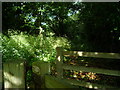 Gate by St. Michael & All Angels Church (Castle Frome)