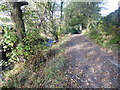 The Pennine Bridleway near Dean House Farm