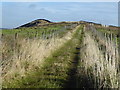 The Pennine Bridleway near Knarrs Farm