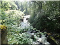 Afon Clywedog from Pont ar Ddibyn