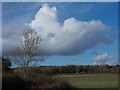 Hodgemoor Woods from the south east