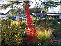 SU9997 : Poppy display at Little Chalfont by Peter S