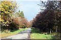 NJ7508 : Autumn tree colours, Dunecht estate by Bill Harrison