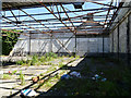 Inside a derelict building on Carmuirs Street