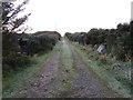 Hedge-lined track leading to Bridestonefold