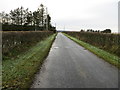 Hedge-lined road at Woodhead