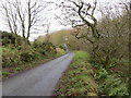 Minor road near to North Lodge, Boyndlie