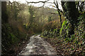 Lane near Hazard Quarry