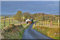 Lane heading north from Trisant