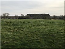 TF0534 : Pasture Overlooking the Ford at Walcot by Jonathan Clitheroe