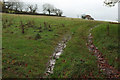 Field by Dundry Lane