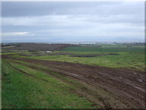 NY0941 : Chewed up field west of Hayton by JThomas
