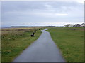 NY0843 : National Cycle Route 72, Allonby by JThomas