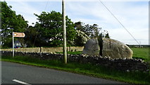 G3936 : Split Rock, Easky, beside R297 Co Sligo by Colin Park