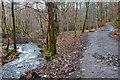 Path by the Kinnaird Burn, Pitlochry