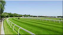 SJ3965 : Chester Racecourse at Roodee by Colin Park