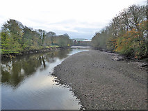 W6671 : River Lee, north channel, Cork by Robin Webster
